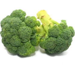 BROCOLI BIO