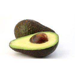 AVOCAT