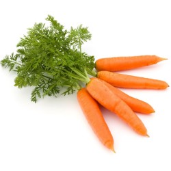 CAROTTES FANES