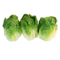 COEUR DE SUCRINE