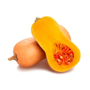 BUTTERNUT BIO