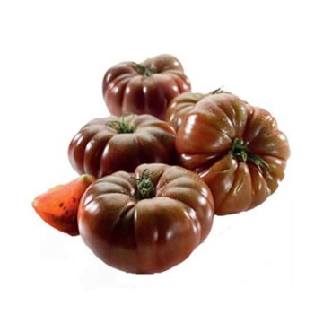 TOMATES CÔTELEES NOIRE