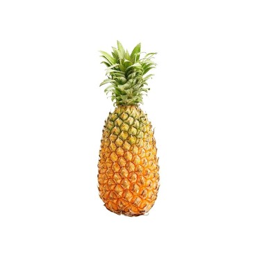 ANANAS FRUNET