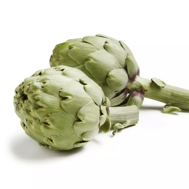ARTICHAUT BLANC