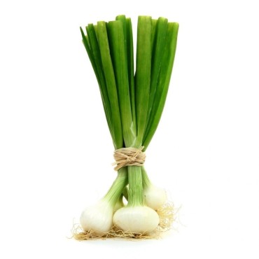 OIGNONS BLANCS BOTTE X3