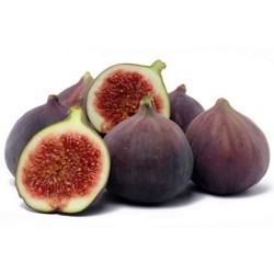 FIGUES