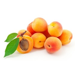 ABRICOTS de Provence