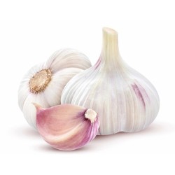 AIL VIOLET 500GR