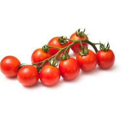 TOMATES CERISES GRAPPE 500GR