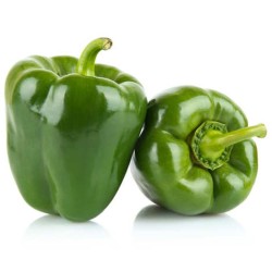 POIVRONS VERTS 500GR