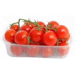 TOMATES CERISES